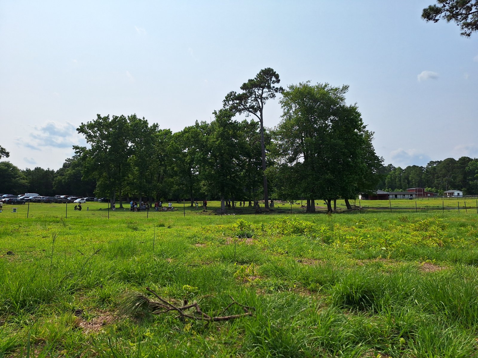 Lazy Day Farm