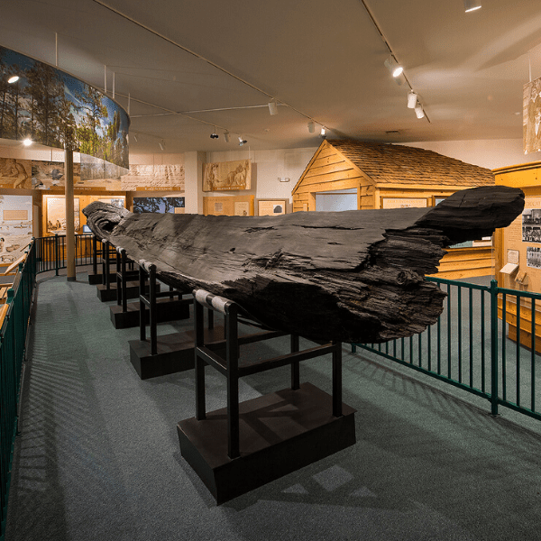 Onslow County Museum